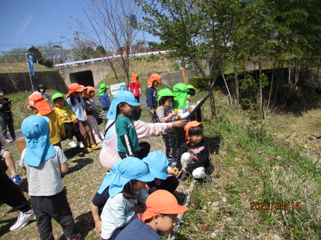 見晴らし台へお散歩2