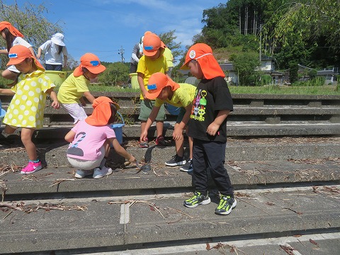 階段でうなぎを触る