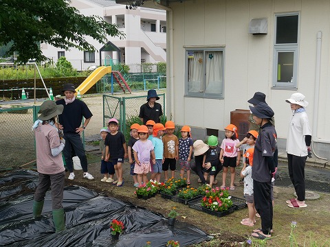 花植え