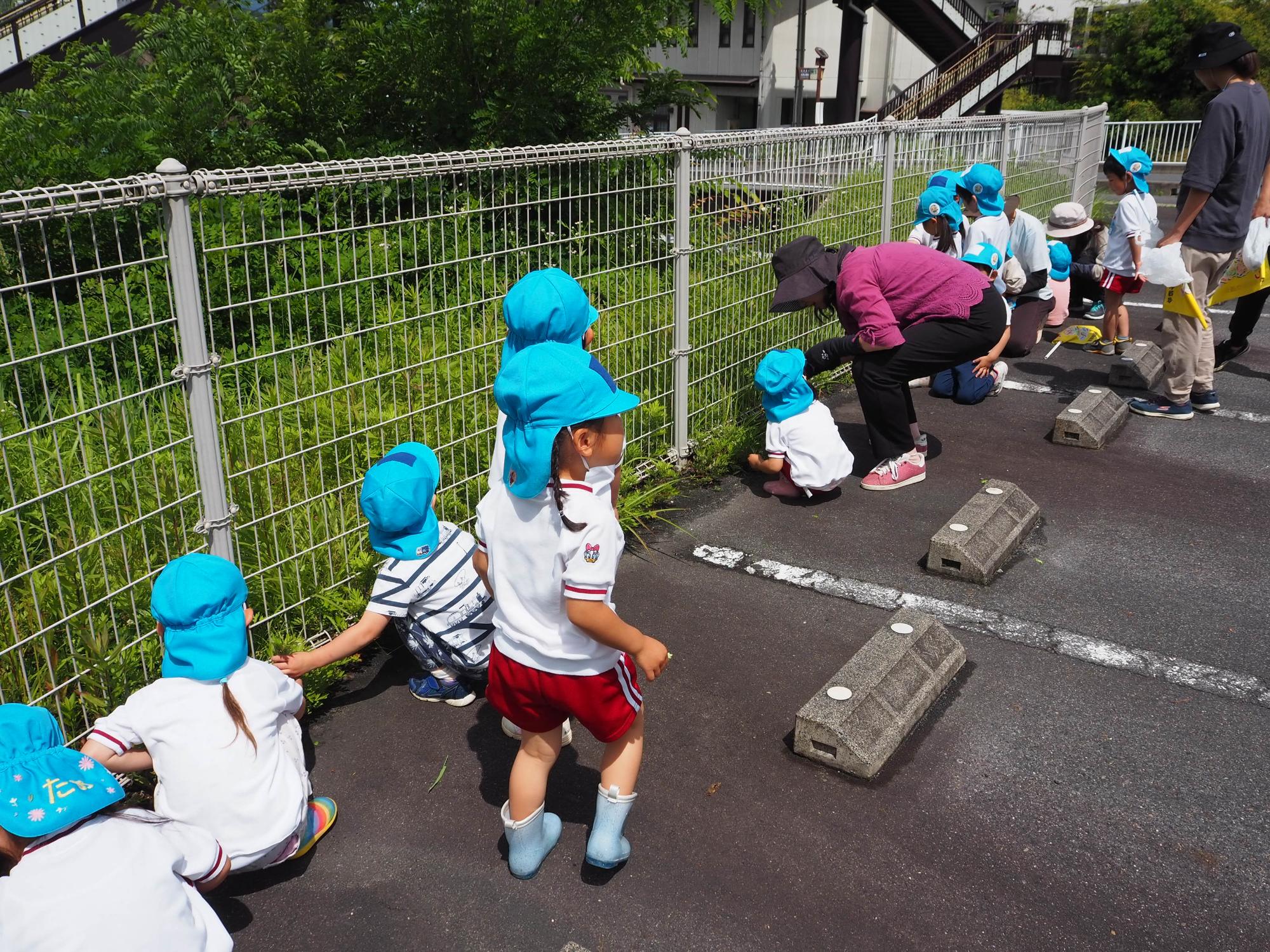 ゴミ
