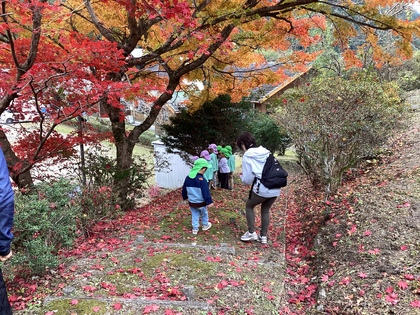 モミジのトンネル