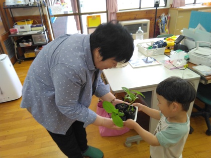 市川先生