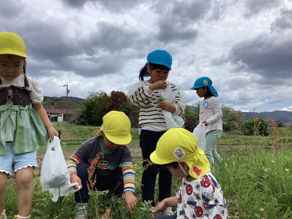 よもぎとり