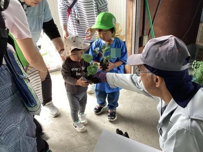 おはなもうってたよ