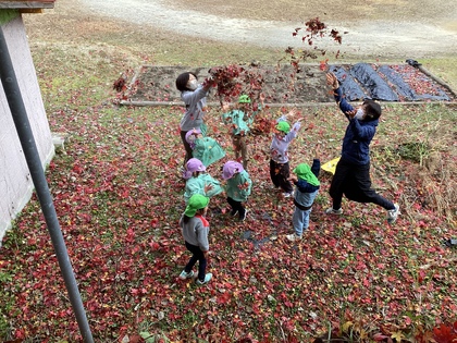 モミジシャワー