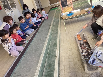 イワシがおいしい