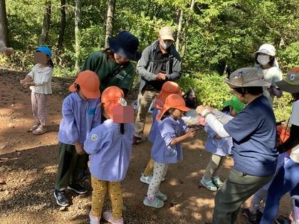 どんぐりジャンケン