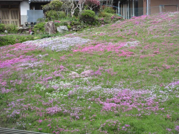遠足10
