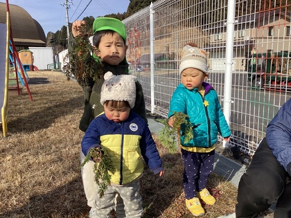 にんじんとれた