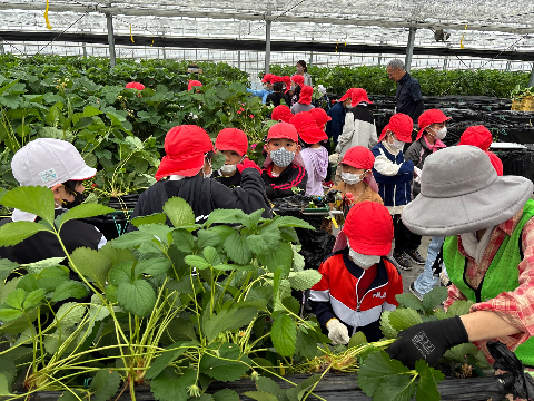R7年度3年生馥郁農園1