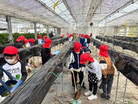 R7年度3年生馥郁農園2