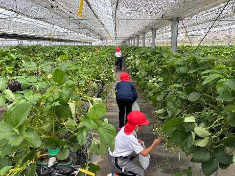 R7年度3年生馥郁農園3