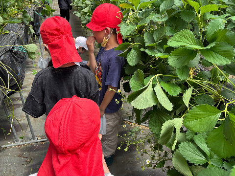 R7年度3年生馥郁農園4