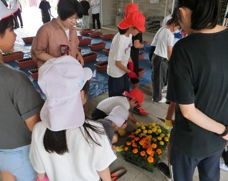 R7花植え活動3