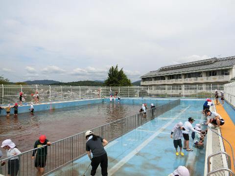 R7　プール掃除1