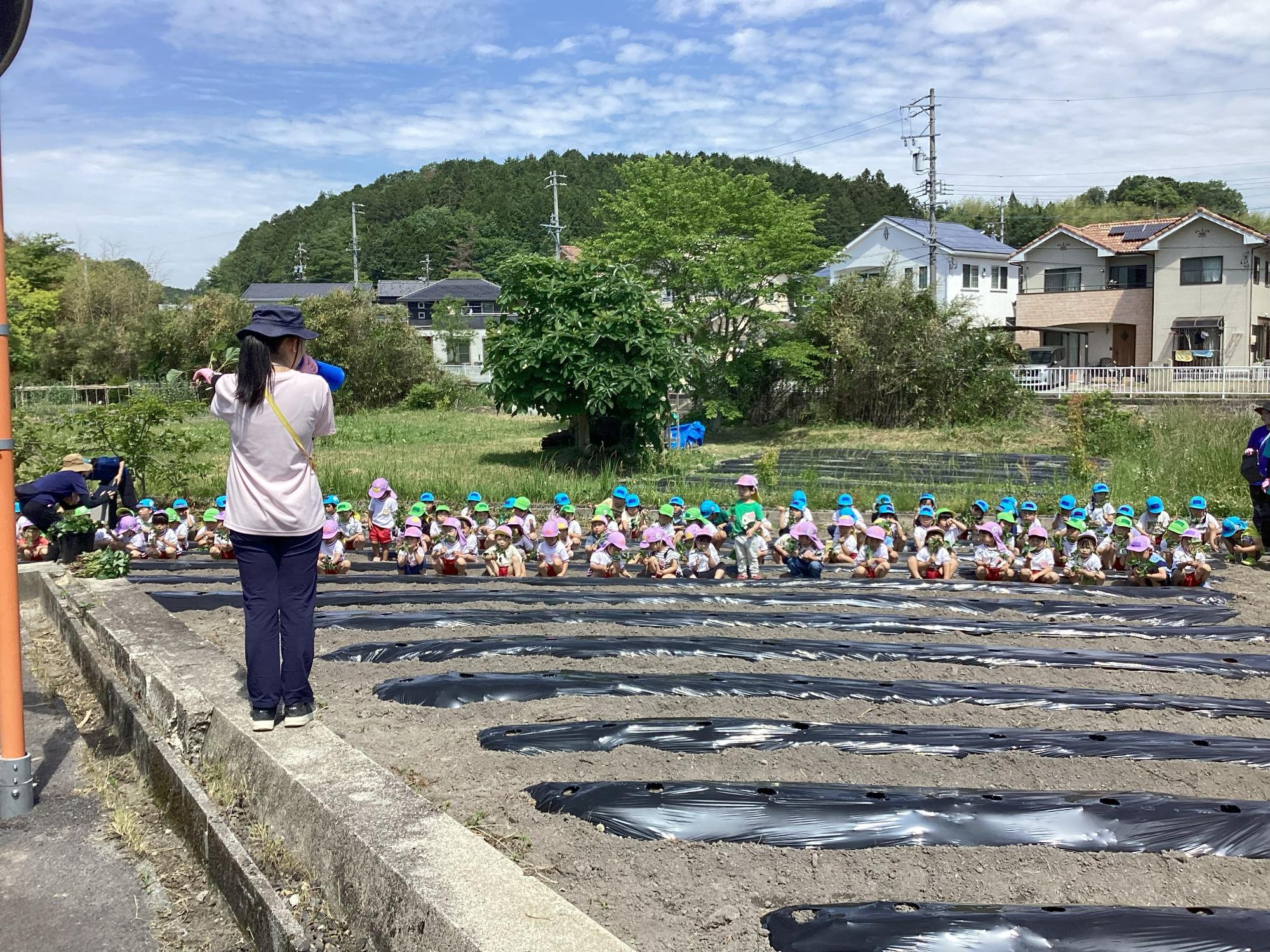 先生の説明を聞きます
