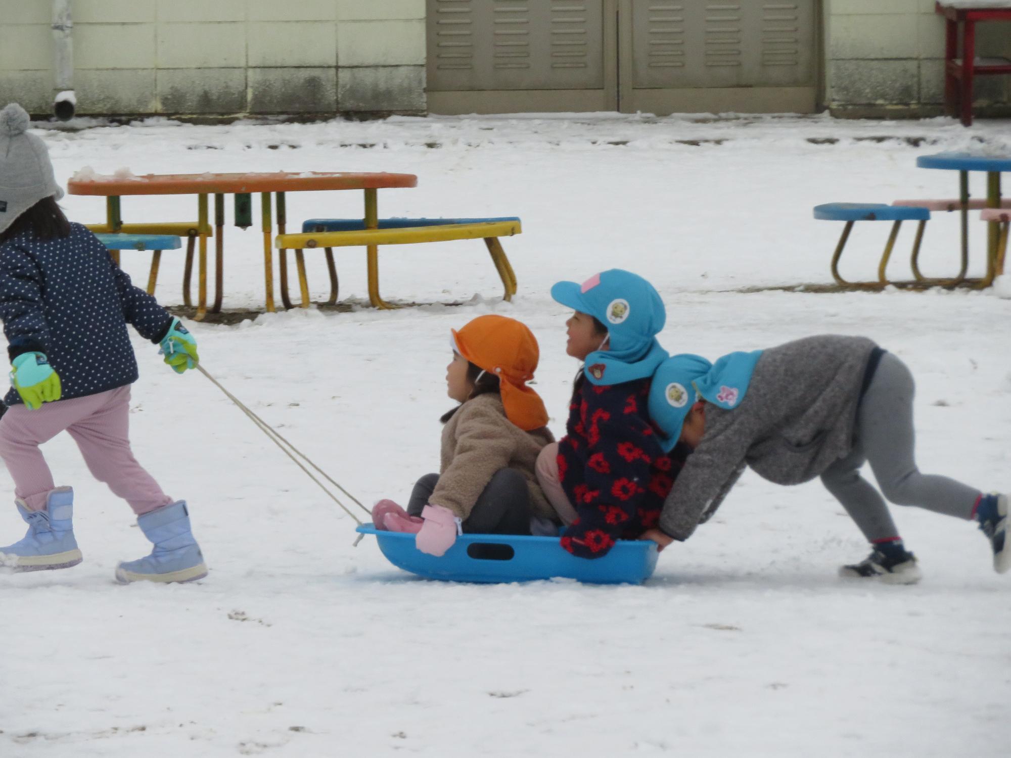 2歳児の子や友だちをそりに乗せて引く子と押す子に分かれて遊んでいました