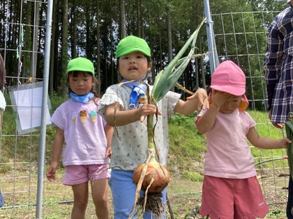 大きな玉ねぎ採ったぞ！