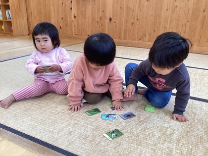 カード遊び