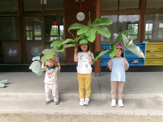 大きな葉っぱを傘のように頭上に持つ3人の子どもたち