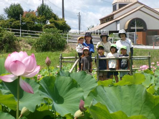 蓮の葉と花を背景に微笑む先生がたと子どもたち