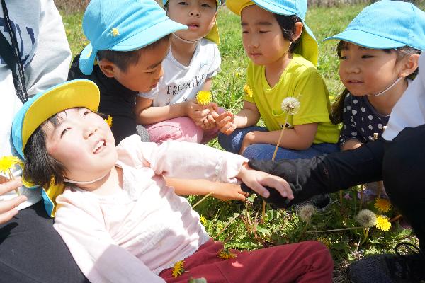 晴れた日に芝生の上で複数の子どもたちがしゃがんでいる様子