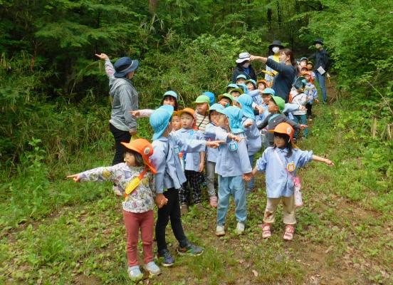 山道で先生に引導されながら子どもたちがなにかを指さしている様子