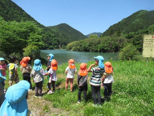 晴れた日に複数の子どもたちが川の側で遊んでいる画像