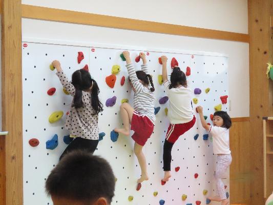 4人の子どもたちがスポーツクライミングをしている写真
