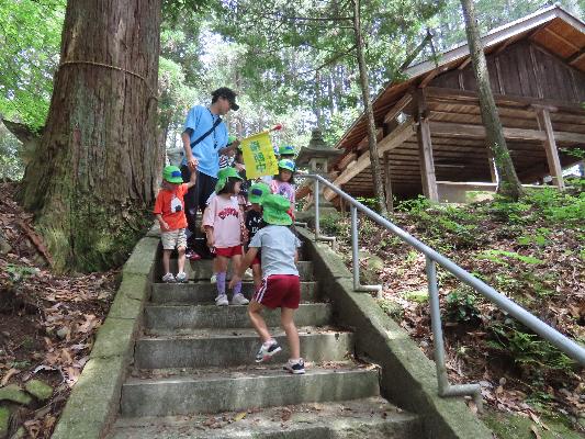 山の斜面の階段で複数の子どもが先生の周りにいる様子