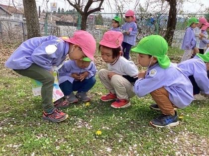 4人の子どもたちが集まって虫探しをしている様子