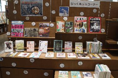 展示の様子