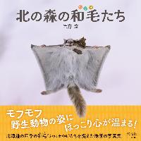 『北の森の和毛たち』書影